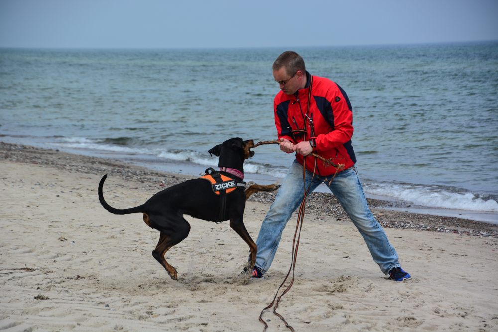 Gassi-Runde am Strand