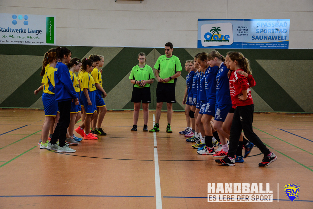 Laager SV 03, Handball, wJD