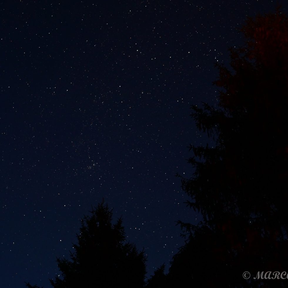 Laage bei Nacht