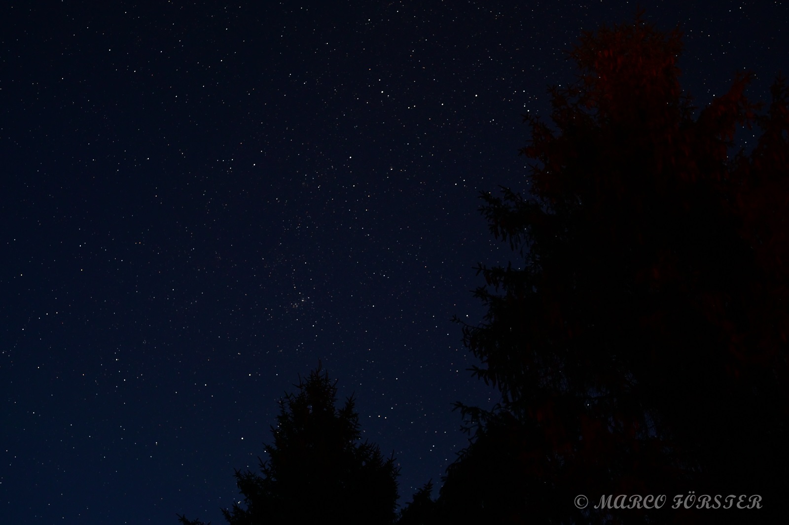 Laage bei Nacht